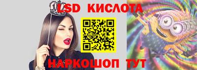 apvp Гатчина