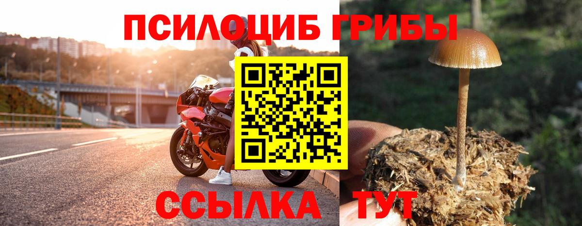 Псилоцибиновые грибы MAGIC MUSHROOMS  Вход с VPN  наркота  Нефтекумск  Галлюциногенные грибы мухоморы 